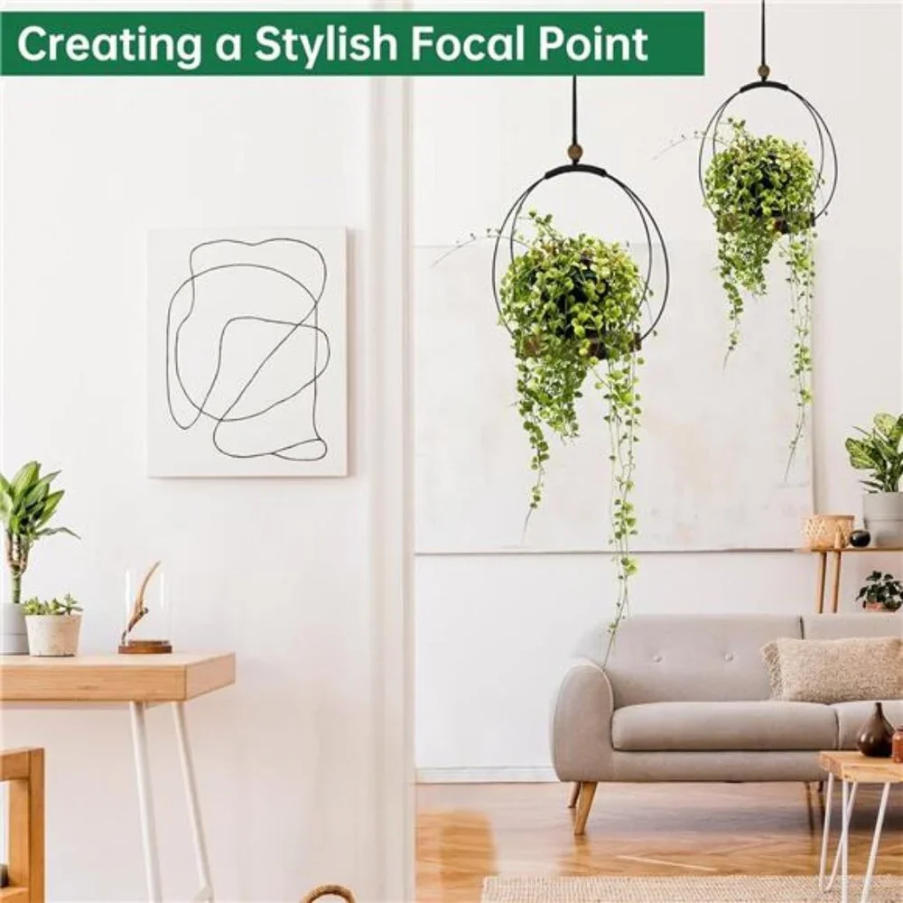 Hanging Planter for Indoor Plants, Black Plant Hanger Indoor with Sturdy Wood